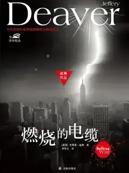 The Burning Wire书封