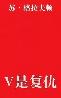 V Is For Vengeance书封