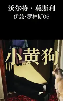 A Little Yellow Dog书封