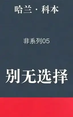 No Second Chance书封