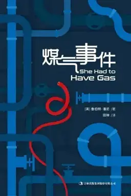 煤气事件书封