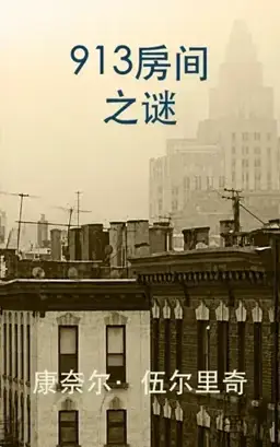 913房间之谜书封