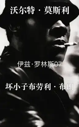 Bad Boy Brawly Brown书封
