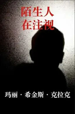 陌生人在注视书封