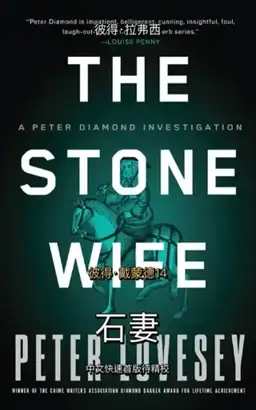 The Stone Wife书封