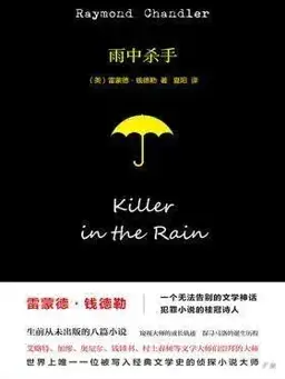 雨中杀手书封