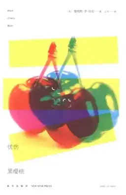 忧伤的黑樱桃书封