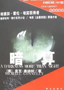 A Darkness More Than Night书封