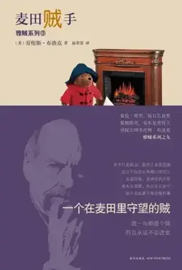 The Burglar in the Rye书封