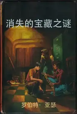 消失的宝藏之谜书封