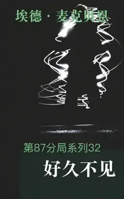 Long Time No See书封