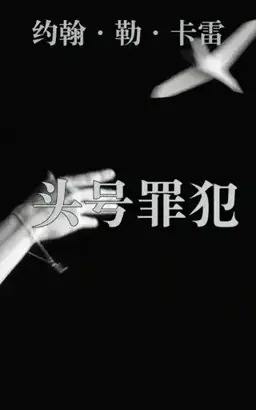 A Most Wanted Man书封