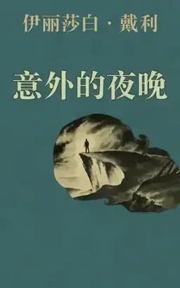 意外的夜晚书封