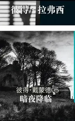 Upon A Dark Night书封