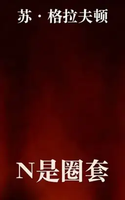 N Is for Noose书封